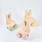Minky Bunny on  Wheels - Pink