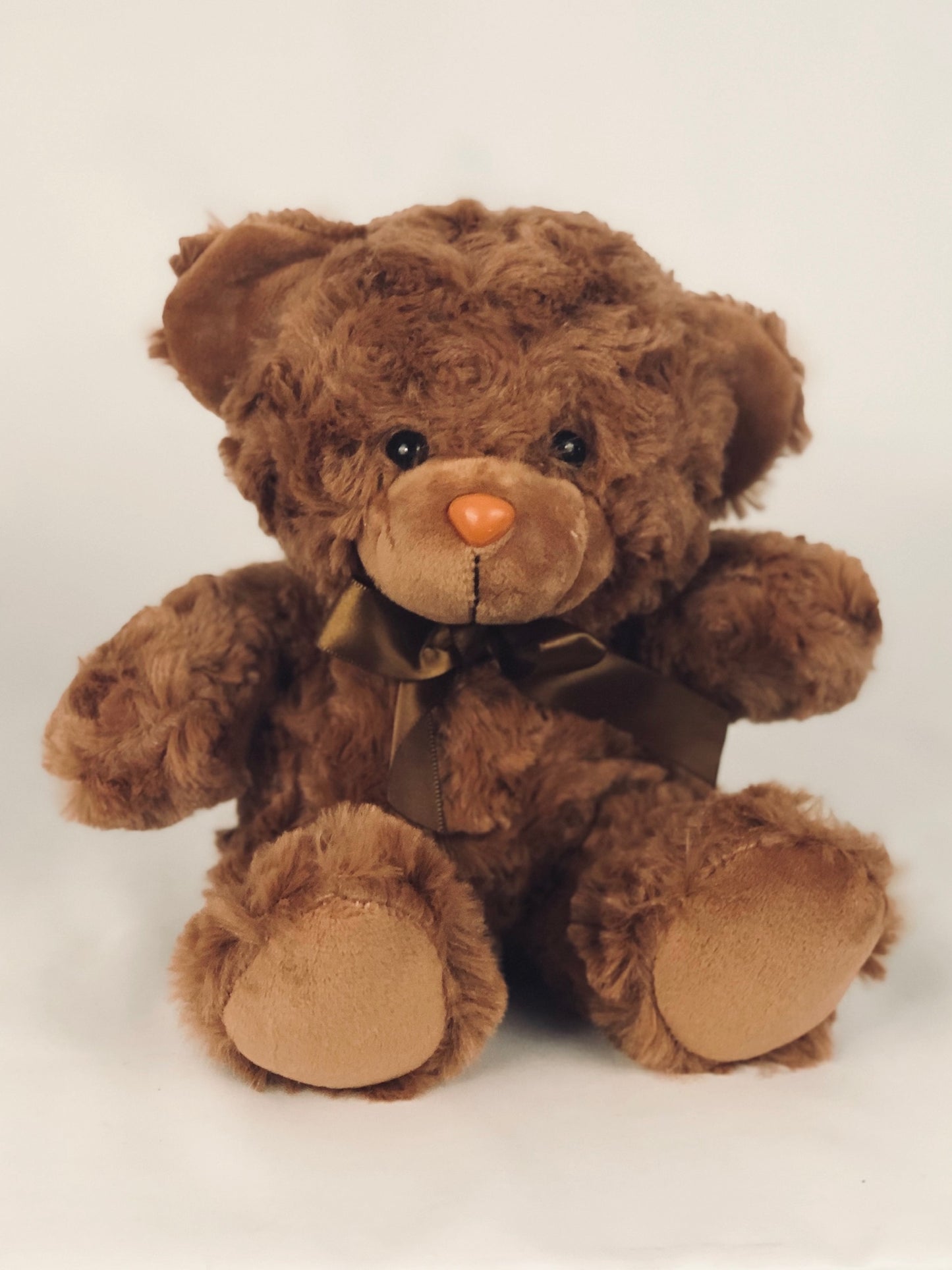 Scruffy Teddy Bear