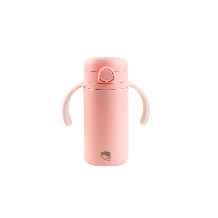 Lizzard Hatchling Kids Flask 280ml, Assorted