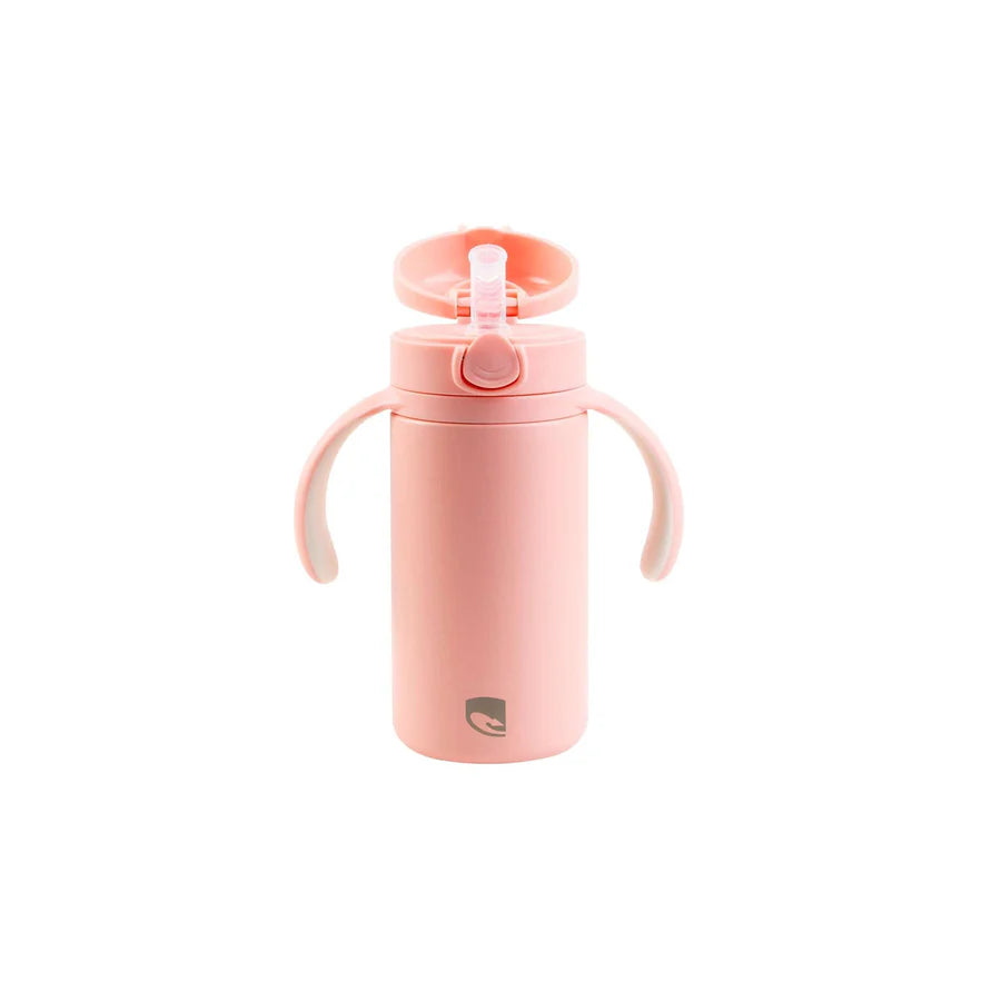 Lizzard Hatchling Kids Flask 280ml, Assorted