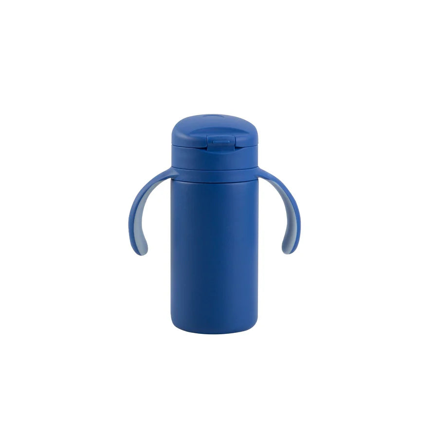 Lizzard Hatchling Kids Flask 280ml, Assorted