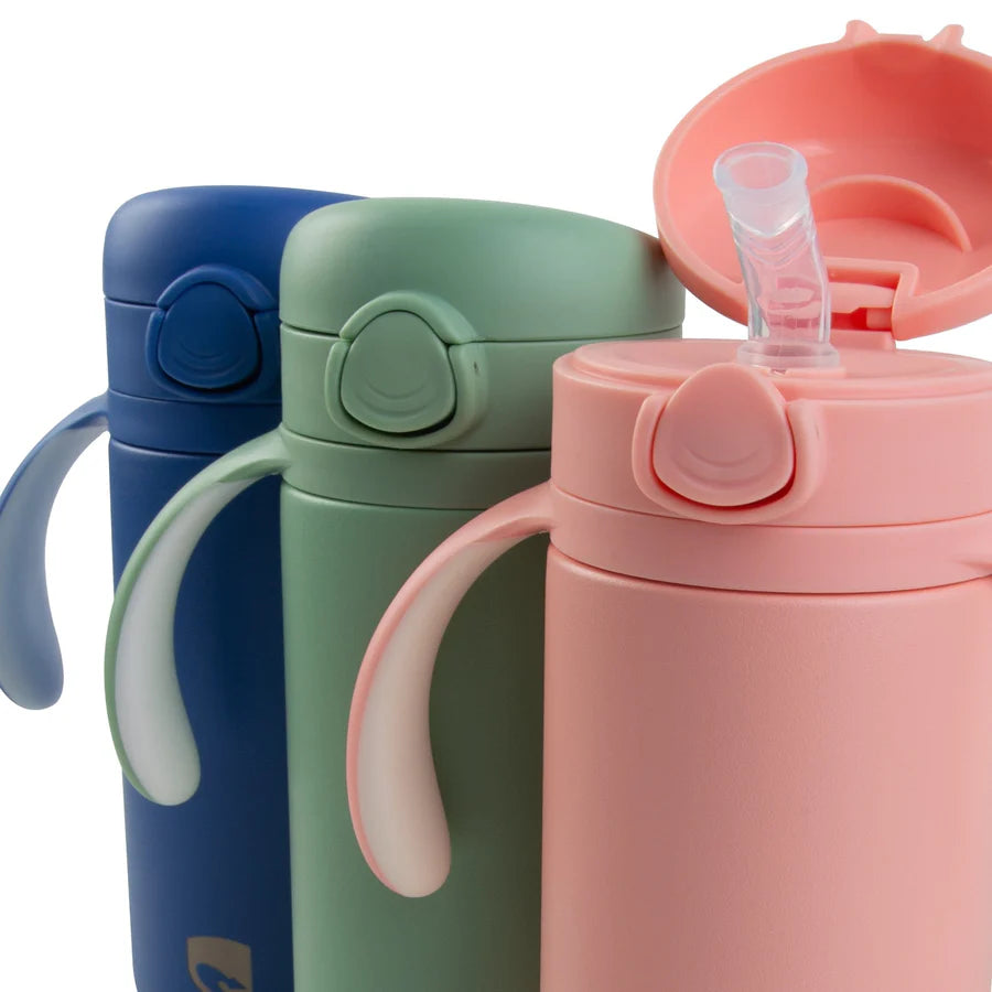 Lizzard Hatchling Kids Flask 280ml, Assorted